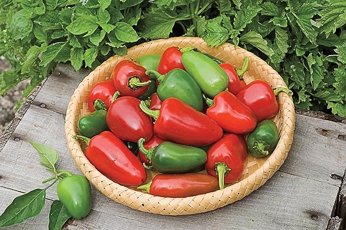 Burpee Biker Billy Hot Pepper Seeds 30 seeds