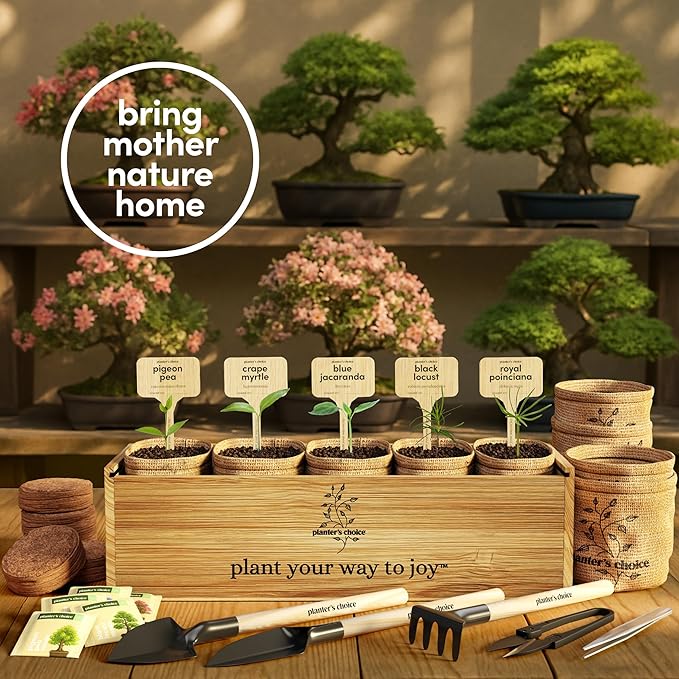 Planter's Choice Bonsai Tree Starter Kit - Unique Gifts for Women, Men - Birthday Gifts for Adults - Indoor Live House Plants - DIY for Adults Craft Kits - Hobby Gift Gardening Lovers