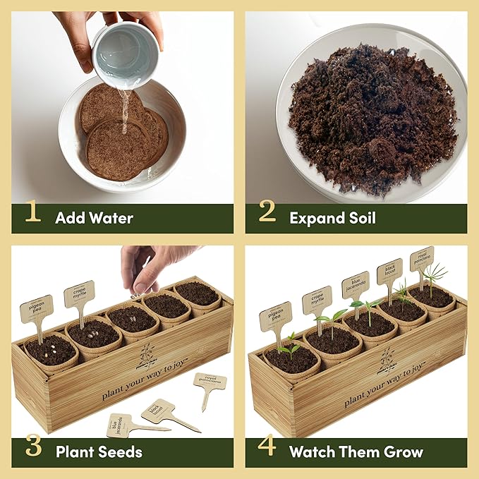 Planter's Choice Bonsai Tree Starter Kit - Unique Gifts for Women, Men - Birthday Gifts for Adults - Indoor Live House Plants - DIY for Adults Craft Kits - Hobby Gift Gardening Lovers