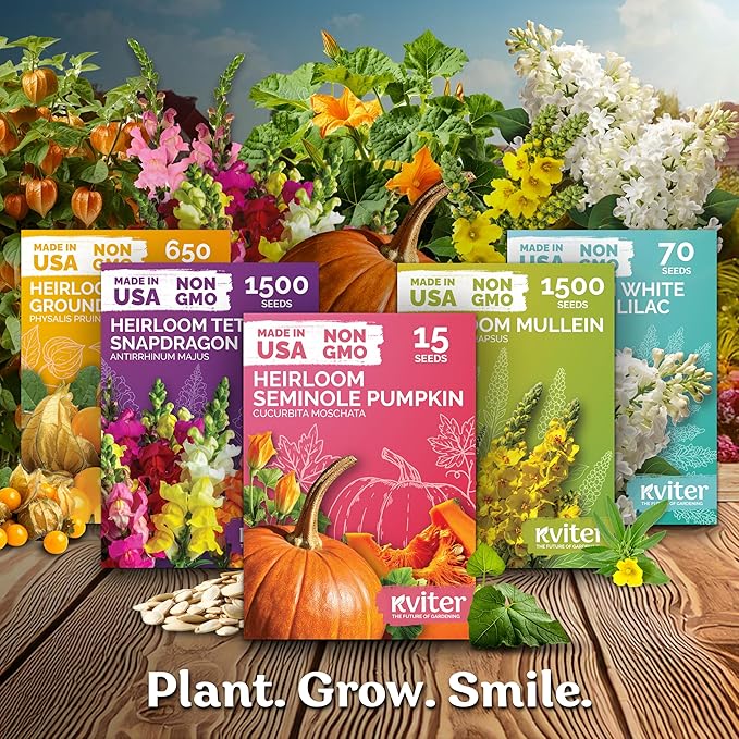 KVITER 600 Detroit Dark Red Beet Seeds (Beta vulgaris) - Known As Beet Root, Tender & Sweet 2-3" Red Beets - Non Gmo & Heirloom Vegetable Seeds For Planting Outdoors in Garden, Raised Beds, Containers