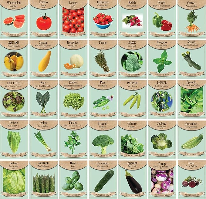 Set of 35 Premium Variety Herbs and Vegetables - Deluxe Garden Choices for Premium Gardening! (35 Liberty Garden Premium Vegetable)