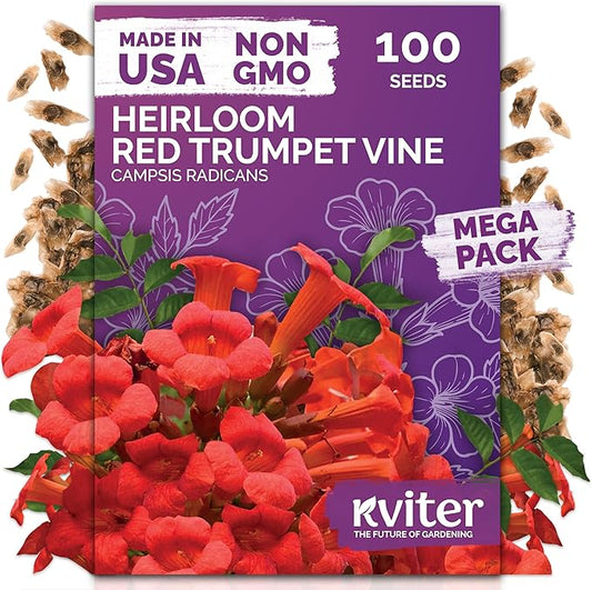KVITER 100 Red Trumpet Vine Seeds for Planting (Campsis Radicans) – Trumpet Creeper, Organic & Heirloom Hummingbird Vine – Perennial Flower Seeds to Plant Outside – Fences, Trellises & Outdoor Garden