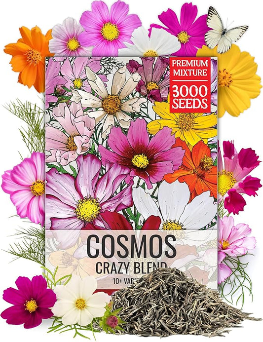 Seed Needs Flower Seeds Cosmos Crazy Blend No Filler 10+ Varieties Cosmos | Cosmo Bipinnatus Open Pollinated Untreated | Resealable Packaging Keeps Seeds Fresh | Bulk Cosmos Flowering Seed Mix