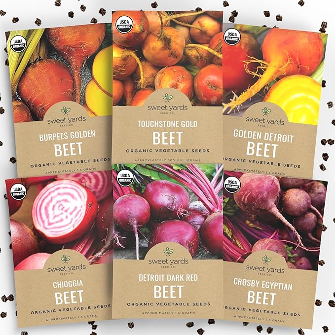 Organic Beet Seeds Variety Pack - 6 Individual Packs - 2026 Season - Detroit Red, Touchstone Gold, Crosby Egyptian and More! for Indoor & Outdoor Planting (Non-GMO, Certified Organic)
