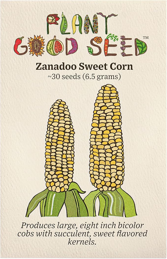 Plant Good Seed Organic Zanadoo Sweet Corn Seeds for Planting: Lupine Knoll Farm Original, Bicolor Yellow and White Kernels - 30 Seed Packet