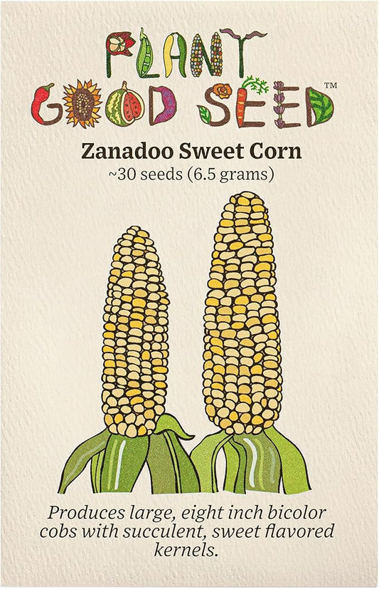 Plant Good Seed Organic Zanadoo Sweet Corn Seeds for Planting: Lupine Knoll Farm Original, Bicolor Yellow and White Kernels - 30 Seed Packet