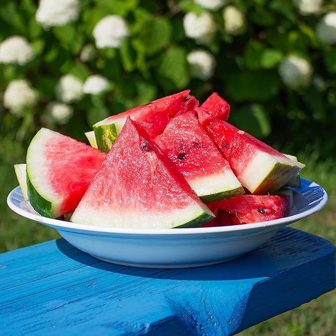 Organic Watermelon Seeds (Crimson Sweet) - Approx 12 Seeds - USDA Organic, Non-GMO, Open Pollinated, Heirloom, USA Origin