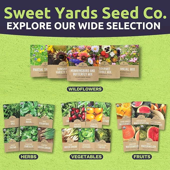 Organic Beet Seeds ‘Detroit Dark Red’ – Two Seed Packets! – Over 308 Heirloom USDA Organic Non-GMO Seeds – Sweet Yards Seed Co.
