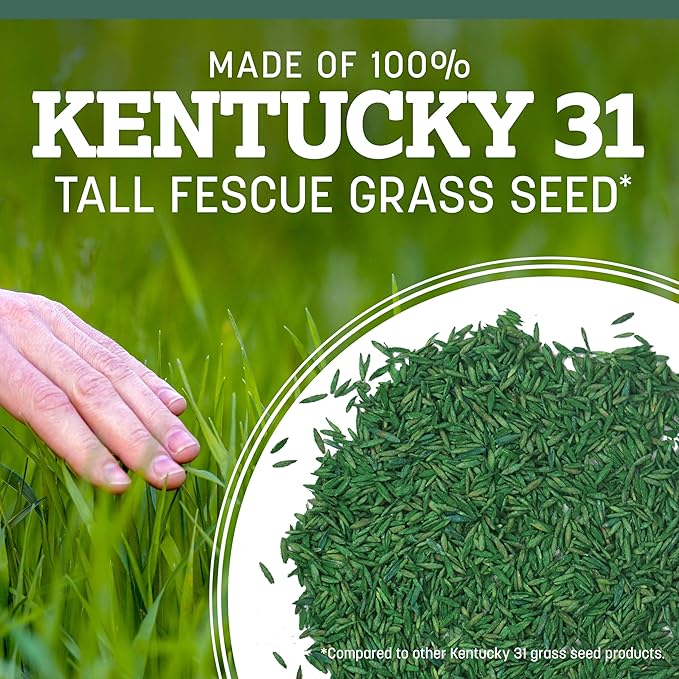 Pennington 100% Kentucky 31 Tall Fescue Penkoted Grass Seed 7 lb