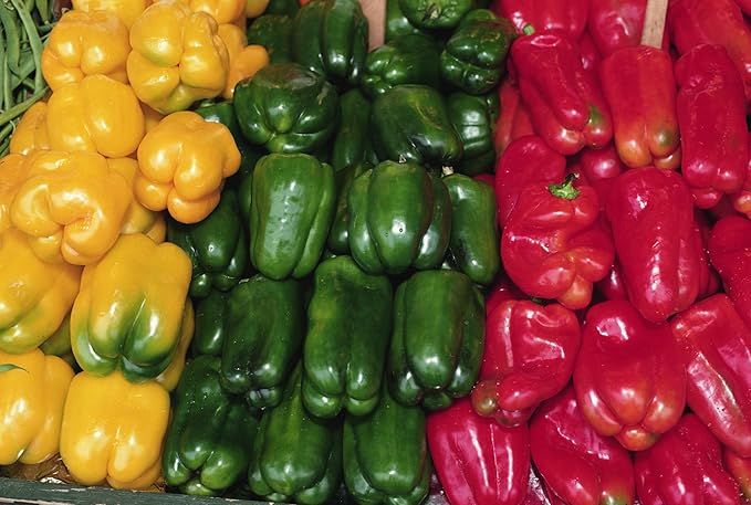Seeds Vegetable Sweet Bell Pepper Rainbow White-Red - 30 Seeds