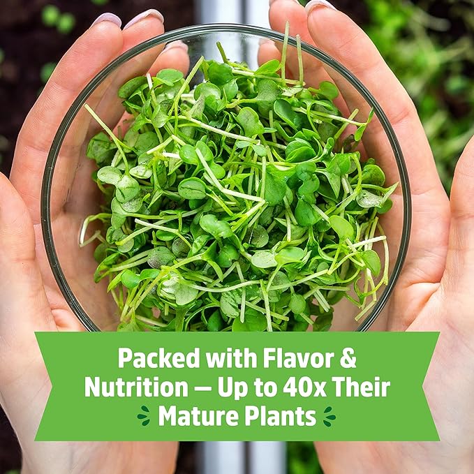 Back to the Roots Organic Microgreens Grow Kit with Ceramic Planter, Expandable Soil, Organic Seeds, and Germination Lid