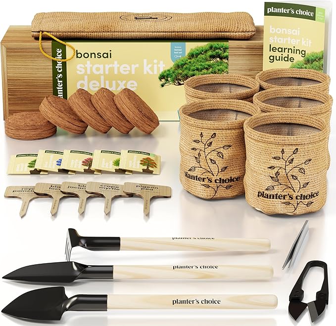 Planter's Choice Bonsai Tree Starter Kit - Unique Gifts for Women, Men - Birthday Gifts for Adults - Indoor Live House Plants - DIY for Adults Craft Kits - Hobby Gift Gardening Lovers
