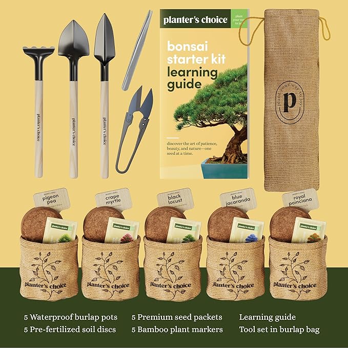 Planter's Choice Bonsai Tree Starter Kit - Unique Gifts for Women, Men - Birthday Gifts for Adults - Indoor Live House Plants - DIY for Adults Craft Kits - Hobby Gift Gardening Lovers