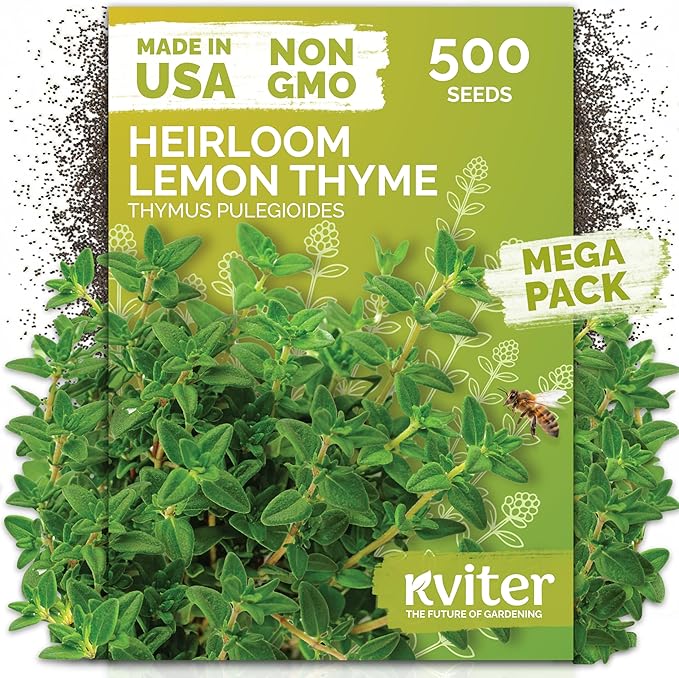 KVITER 500 Lemon Thyme Seeds for Planting (Thymus Pulegioides) – Wild Creeping Thyme Seeds Ground Cover, Aromatic & Drought-Tolerant Herbaceous Flower – Ideal for Walls, Fences & Herb Garden