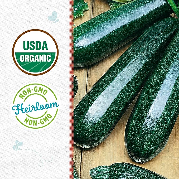 Back to The Roots 100% Organic Seed Packet - Squash 'Summer Black Zucchini' 2.8g