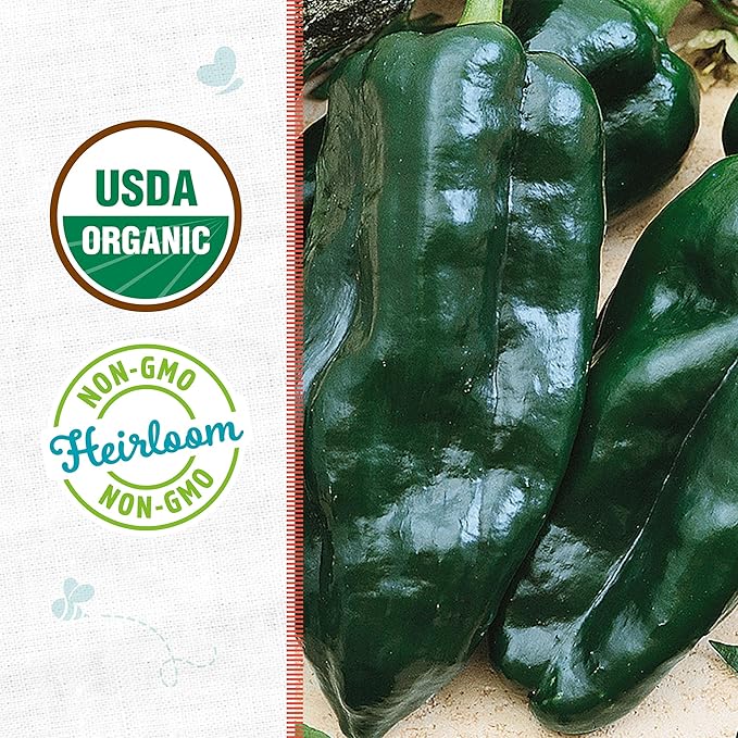 Back to The Roots 100% Organic Seed Packet - Chili Pepper 'Poblano' 140mg