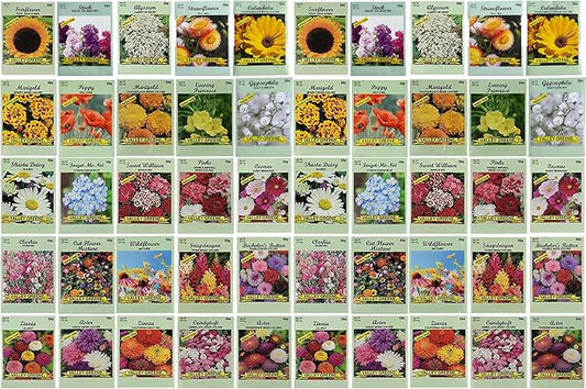 Set of 50 Flower Seed Packets! Flower Seeds in Bulk, 15 or More Varieties Available!