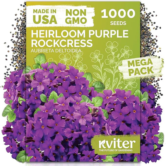 KVITER 1,000 Purple Rock Cress Seeds Perennial (Aubrieta deltoidea) - Aubrieta Seed, Lilacbush, Non-GMO & Organic Ground Cover Seed - Ideal Flower Seeds for Planting in Beds, Rock Garden & Walls
