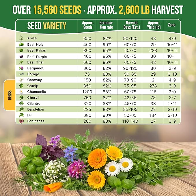 Organo Republic 30 Medicinal & Tea Herb Seeds Variety Pack 15,560+ Non-GMO Heirloom Garden Seeds for Indoor & Outdoors, Including Anise, Bergamot, Borage, Cilantro, Chamomile, Dandelion Seeds