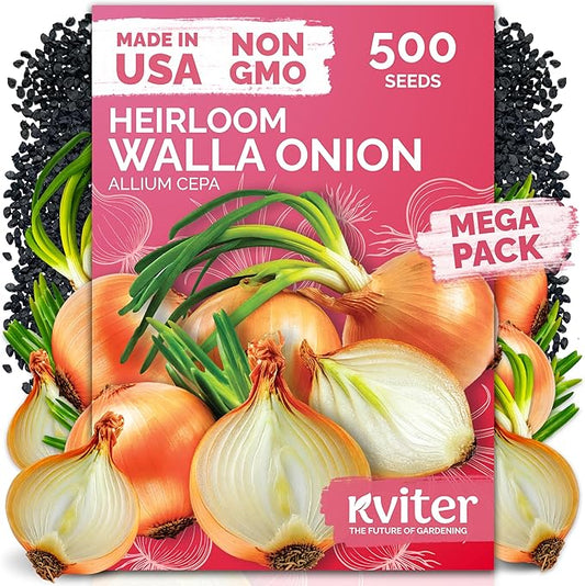 KVITER 500 Walla Walla Onion Seeds for Planting (Allium cepa) – Long Day Sweet Onions Gardening Seeds – Non GMO Heirloom Vegetable Seed Packets, Outdoor & Indoor Gardening, Home Garden, Raised Beds