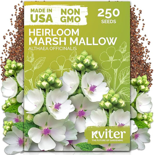 KVITER 250 Marsh Mallow Seeds for Planting (Althaea officinalis) – White Mallow Medicinal Seed Packets, Grow Heirloom Marshmallow Root Herb – Perennial Write Flower Garden Seeds Indoor & Outdoor