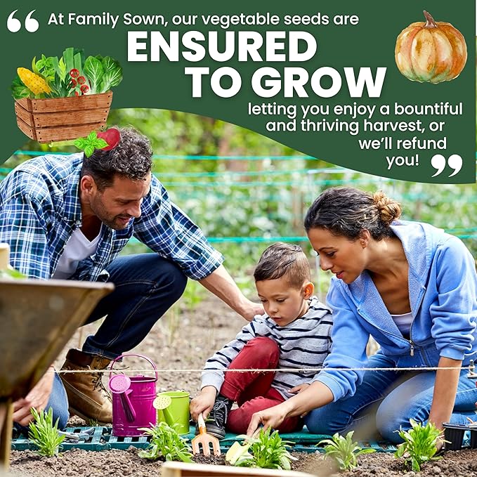 20 Vegetable Seed Packets | Survival Variety Pack | 2026 Season | Individually Packed Vegetables, Herbs and Fruits | Emergency Seed Vault for Doomsday Prepping | by Family Sown