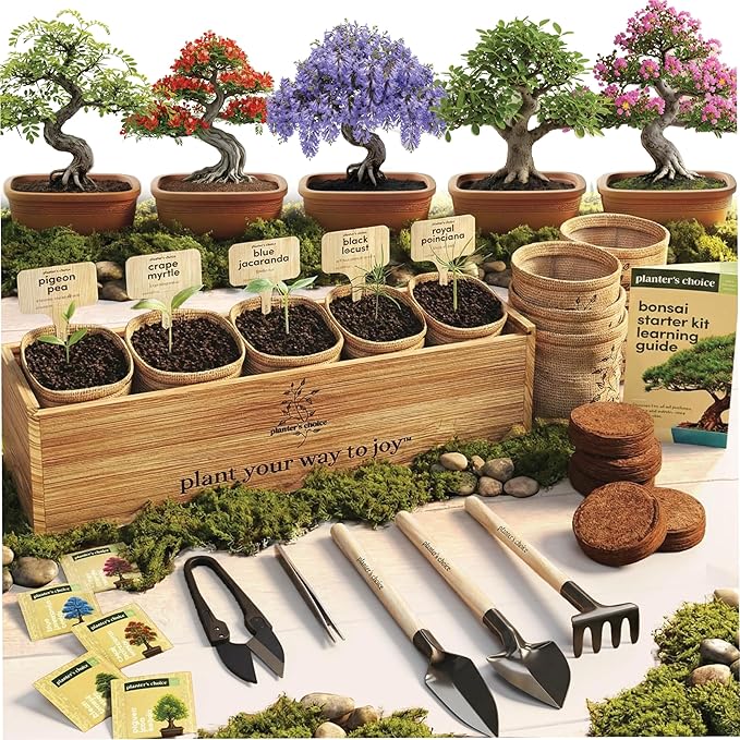 Planter's Choice Bonsai Tree Starter Kit - Unique Gifts for Women, Men - Birthday Gifts for Adults - Indoor Live House Plants - DIY for Adults Craft Kits - Hobby Gift Gardening Lovers