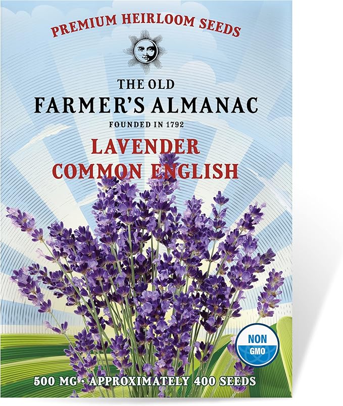 The Old Farmer's Almanac Heirloom Lavender Seeds (Common English) - Approx 360 Seeds - Non-GMO, Open Pollinated