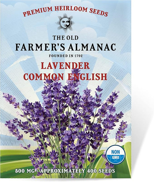 The Old Farmer's Almanac Heirloom Lavender Seeds (Common English) - Approx 360 Seeds - Non-GMO, Open Pollinated
