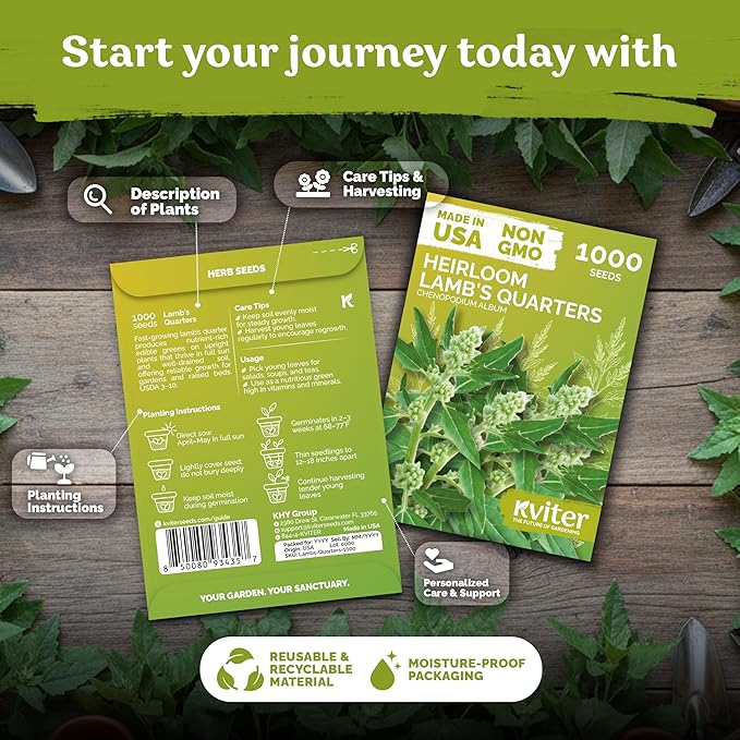 KVITER 1000 Lambs Quarters Seeds (Chenopodium Album) - Goosefoot, Wild Spinach, Edible Leaves, Heirloom Herbs Seed, Non GMO - Annual Herb Seeds in Seed Packets for Outdoor Gardens or Raised Beds