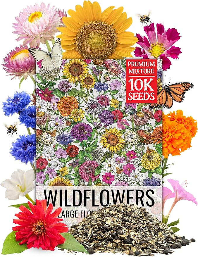 Seed Needs 2 Ounce Large Blooms Mix Hummingbird and Butterfly Garden Wildflower Flower Seeds for Planting | 7 Varieties Open Pollinated | Resealable Package Live Wild Flower Seed | Bulk