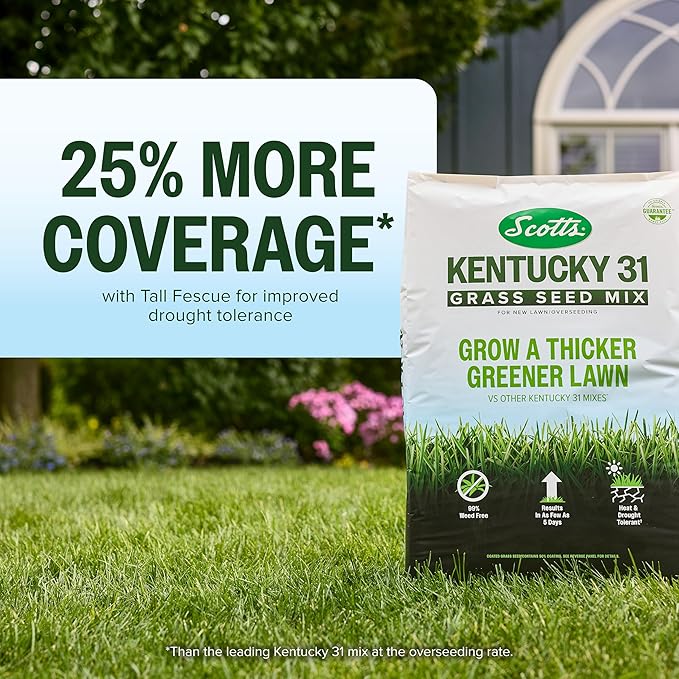 Scotts Kentucky 31 Grass Seed Mix - Premium Lawn Grass Seed, Covers Up to 10,000 sq. ft., 40 lb