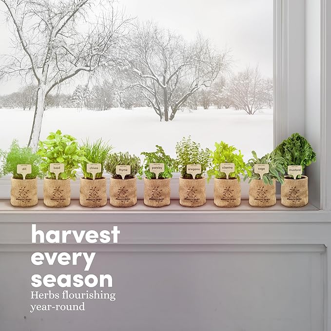 Planters' Choice 9 Herb Indoor Window Garden Kit - House Plants Seeds - Best Unique Gift Ideas for Women, Mom, Friend, Her, Birthday, Housewarming, Mother - New Home Kitchen Gifts