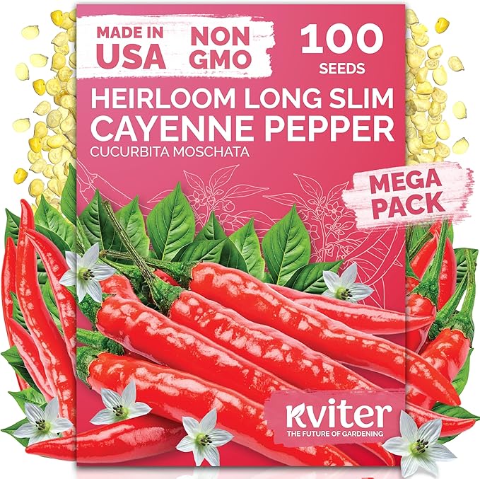 KVITER 100 Cayenne Long Slim Hot Pepper Seeds (Capsicum annuum) – Cayenne Pepper Seeds, Heirloom Long Hot Peppers – Non GMO Seed Packets Vegetable Garden, Containers & Indoor Garden