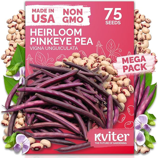 KVITER 75 Top Pick Pinkeye Cow Pea Seeds for Planting (Vigna Unguiculata) – Field Pea, Bush Purple Hull Peas, Heirloom & Organic | Peas & Beans – Vegetable Seeds for Outdoor Garden, Beds, Containers