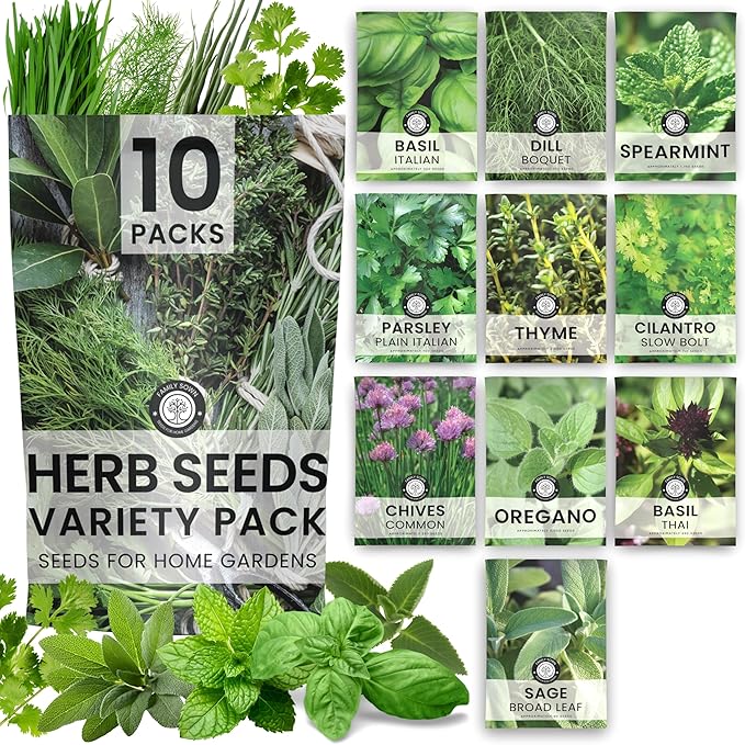Herb Seeds | 10 Individual Packs | 2026 Season | Non-GMO | Mint, Parsley, Basil, Thyme & More! | for Planting Indoor & Outdoor | by Family Sown