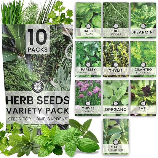 Herb Seeds | 10 Individual Packs | 2026 Season | Non-GMO | Mint, Parsley, Basil, Thyme & More! | for Planting Indoor & Outdoor | by Family Sown