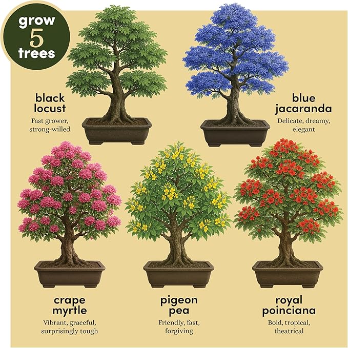 Planter's Choice Bonsai Tree Starter Kit - Unique Gifts for Women, Men - Birthday Gifts for Adults - Indoor Live House Plants - DIY for Adults Craft Kits - Hobby Gift Gardening Lovers