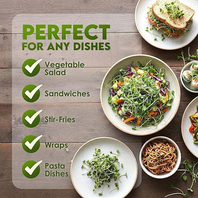 Nature Jims Organic Radish Sprout Seeds – 16 Ounce Premium Non-GMO Radish Seeds for Sprouting, Rich in Vitamins, Minerals, Fiber & Protein – Microgreen & Sprout Seeds for Home Growing