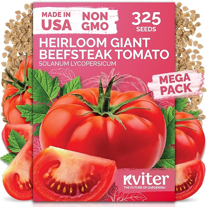 KVITER 325 Giant Beefsteak Tomatoes Seeds (Solanum lycopersicum) – Beef Steak Tomato Seed Packets Heirloom Tomatoes – Non GMO Slicing Tomato Vegetable Seeds for Planting Home Garden, Indoor & Outdoor