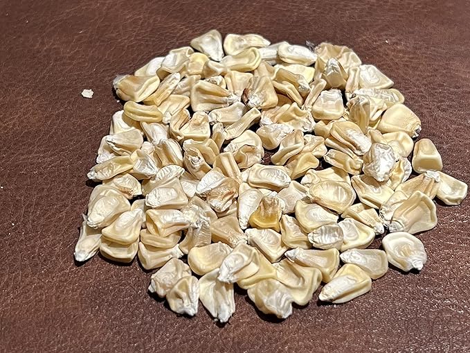 100% Organic, Silver, Hawaiian #9, Super, Sweet Corn, Heirloom, Open Pollinated, Non GMO
