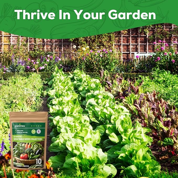 10 Vegetable Seeds Pack - Non GMO, Heirloom - Basil, Snap Pea, Broccoli, Bean, Jalapeño Pepper, Tomato, Lettuce, Cucumber, Carrot, Zucchini Seeds for Planting Home Garden