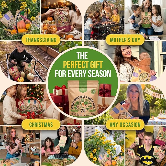 Organo Republic 25 Winter Vegetable & Green Seeds Variety Pack for Outdoors & Indoor Home Gardening 27670+ Non-GMO Heirloom Seeds: Broccoli Beet Carrot Collard Lettuce Radish Spinach Pea Kohlrabi